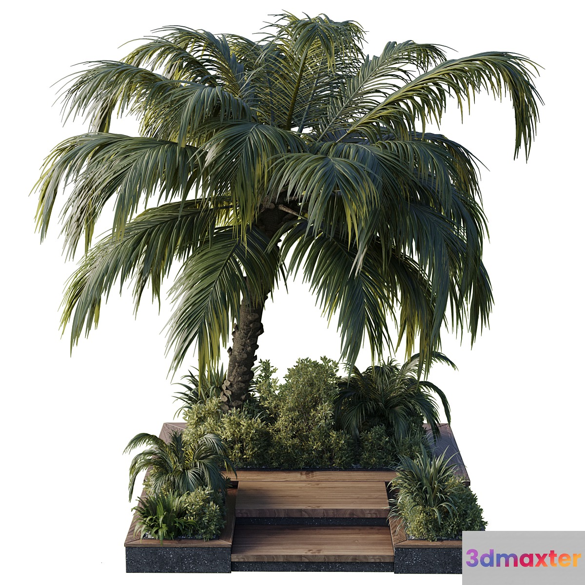 garden pot tree palm bush fern grass concrete base Collection Outdoor plant 102 - No.2
