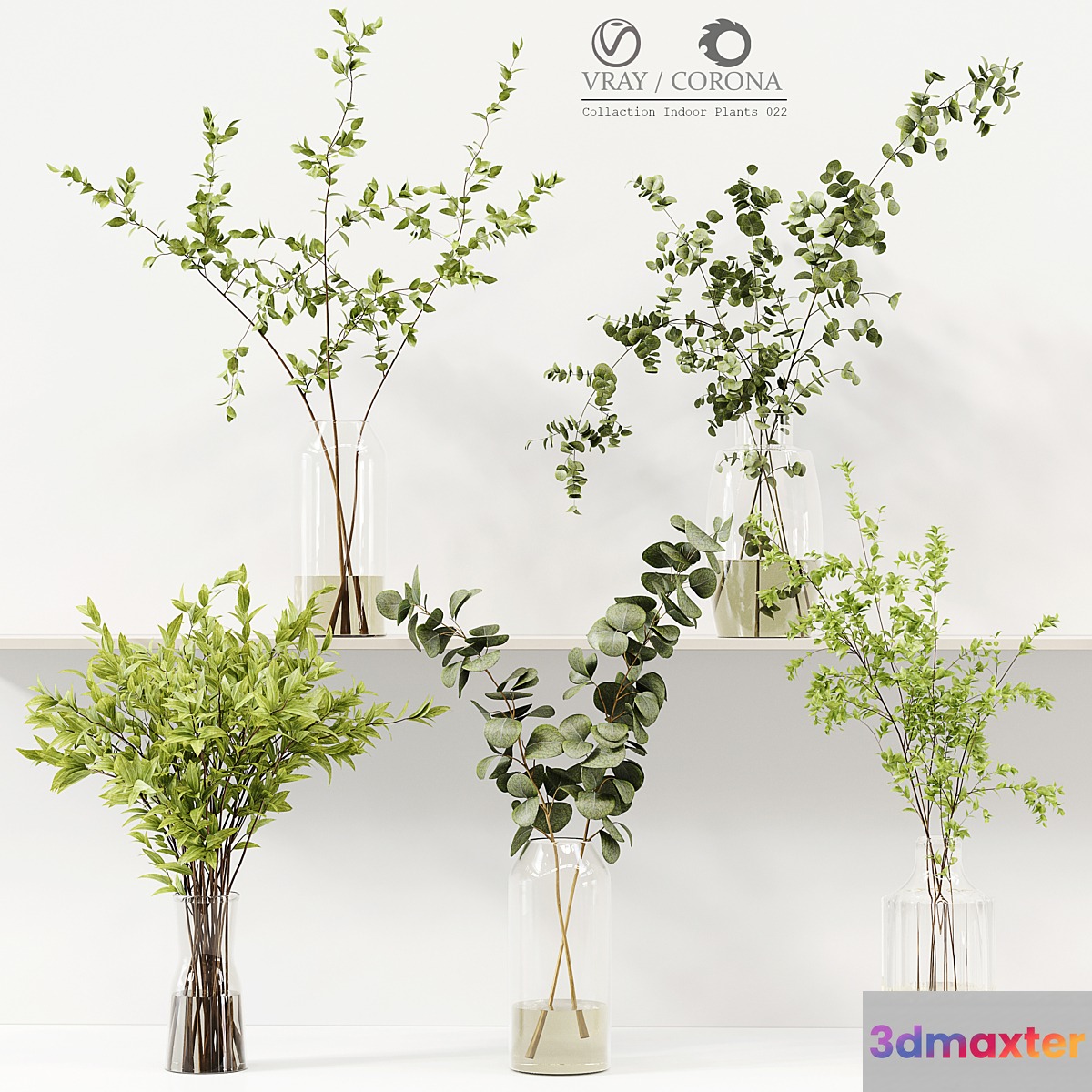 Collection Indoor Plants 022