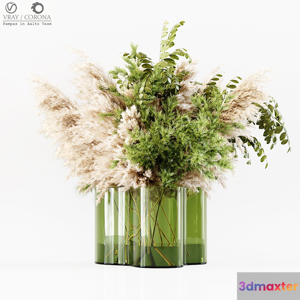 Pampas In Aalto Vase