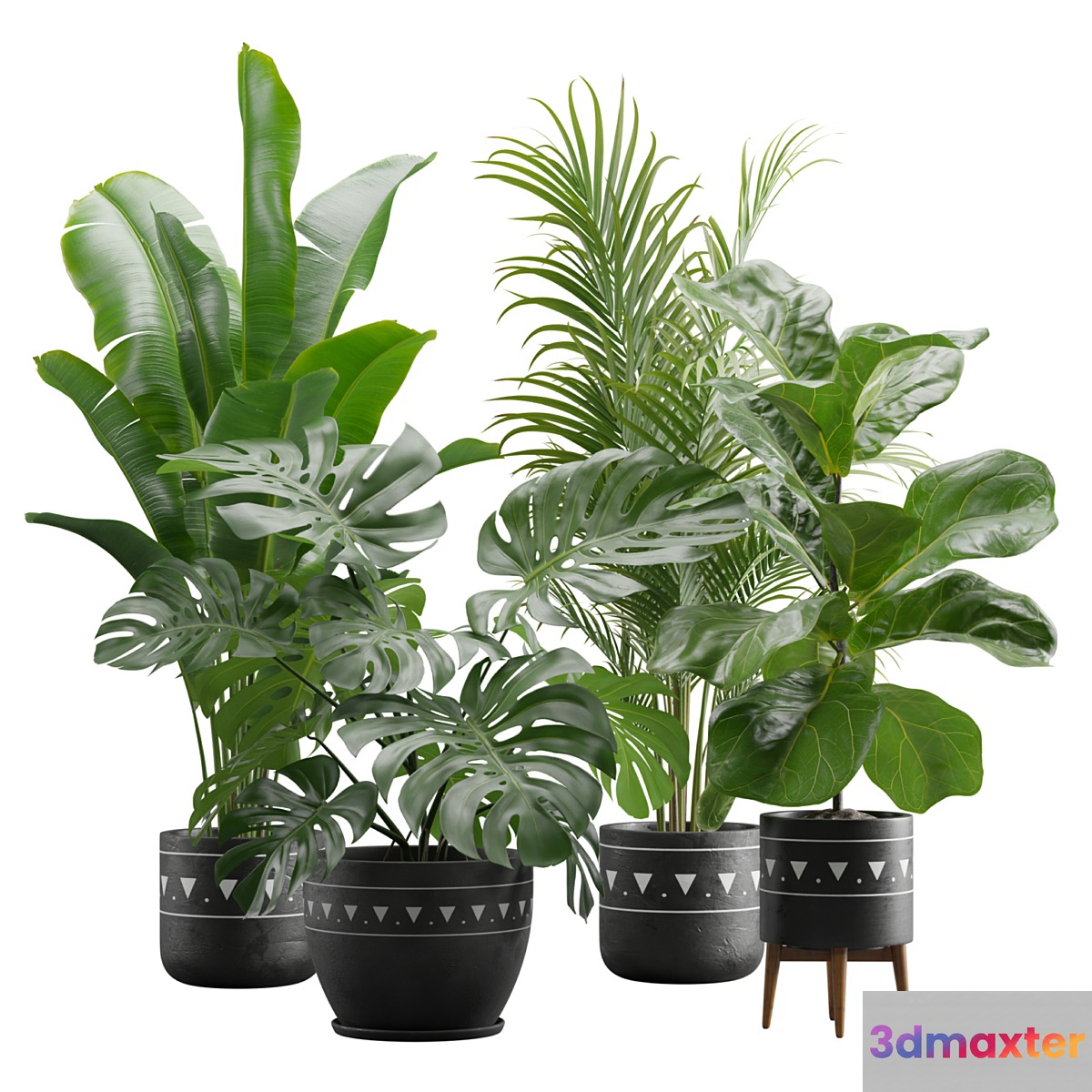 Indoor Plants Pack 17