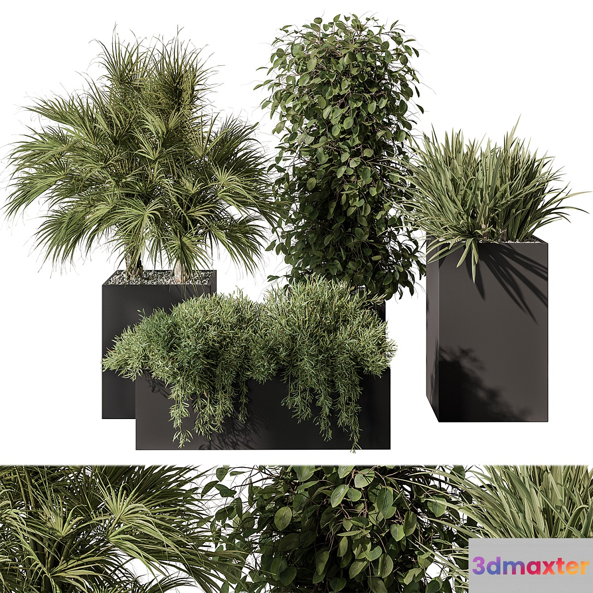 Outdoor Plant Set 402 - Plant Set in Plant Box - No.2