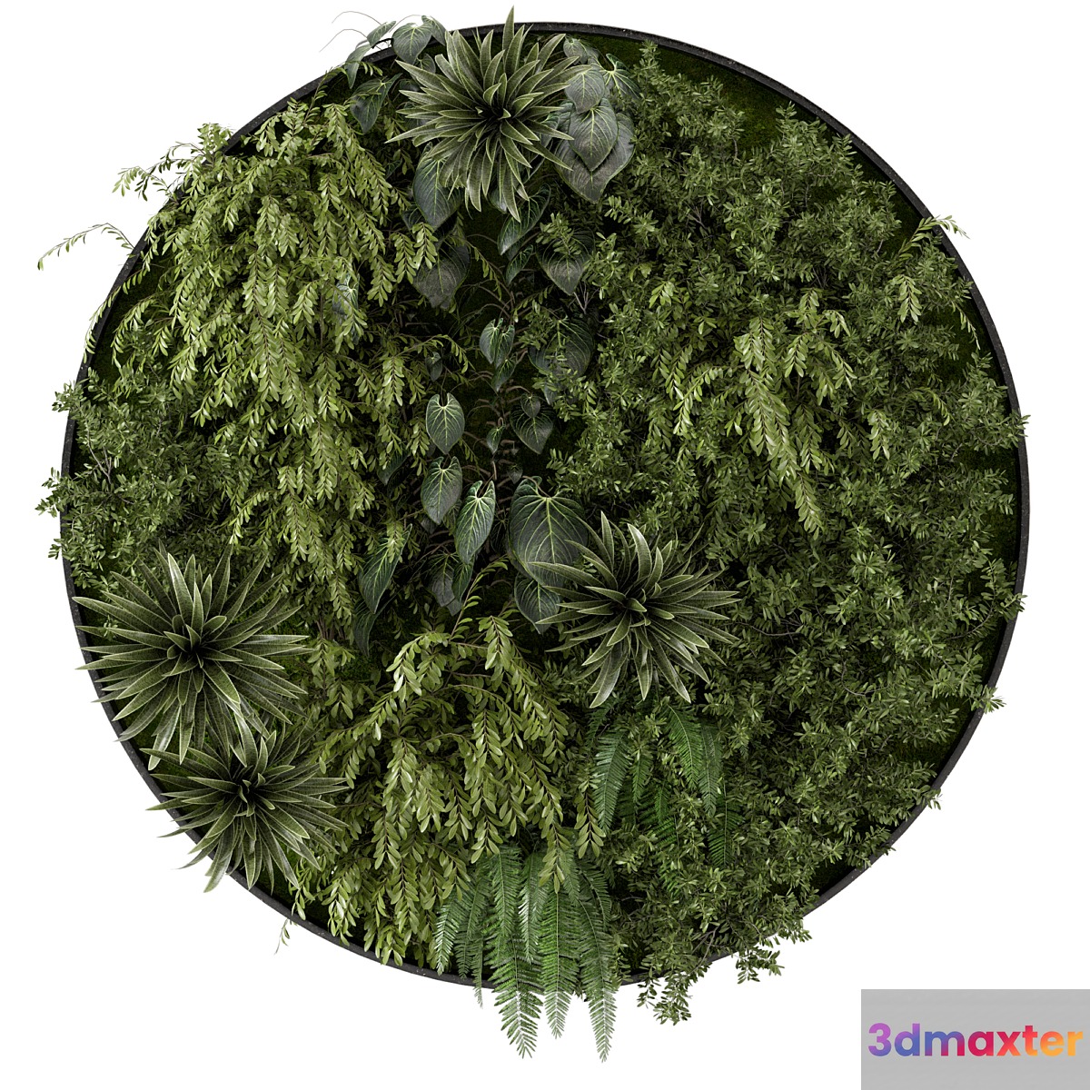 Indoor Wall Vertical Garden Set - Set 714