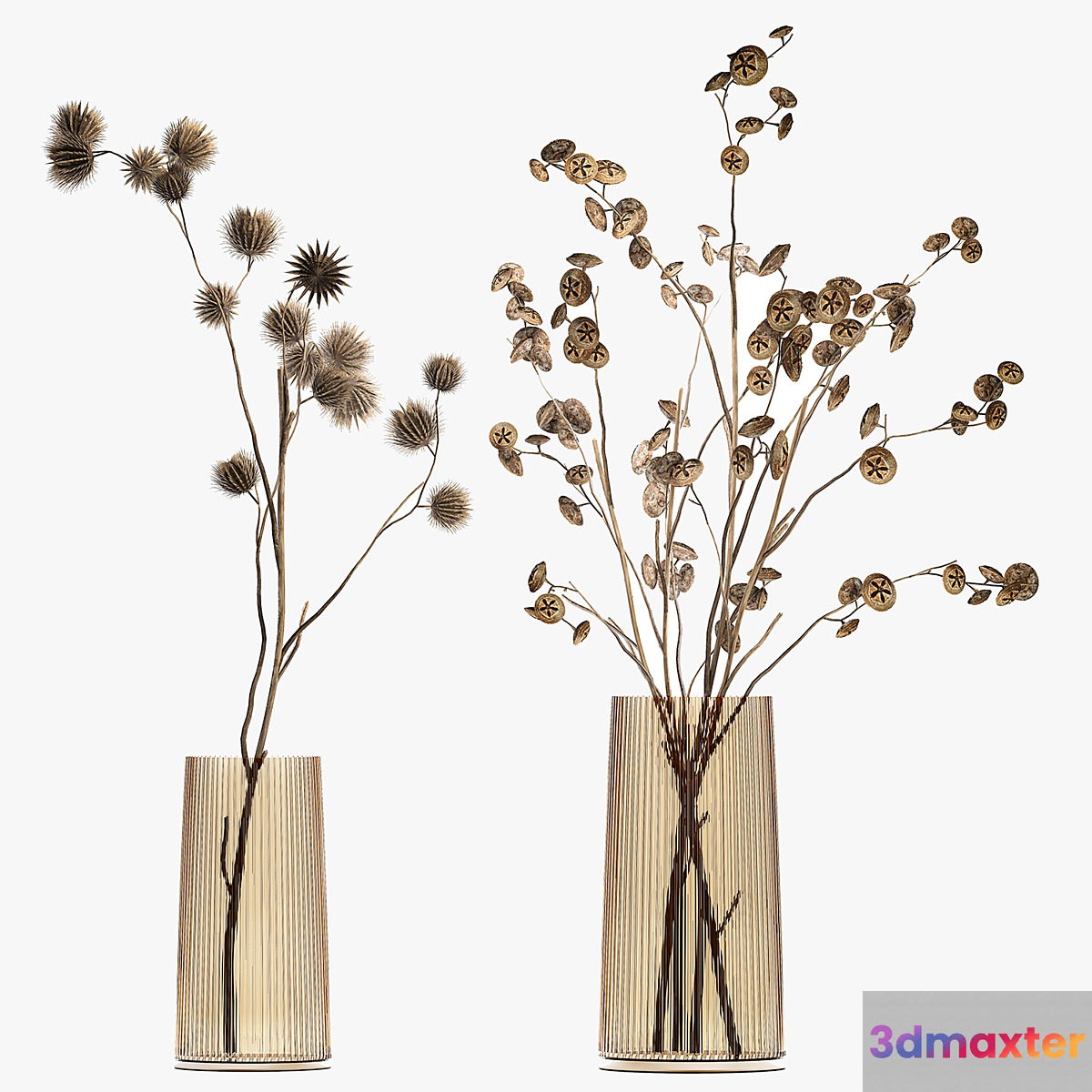A set of two bouquets of dried flowers twigs thorns vase eucalyptus. 245. 3D Max
