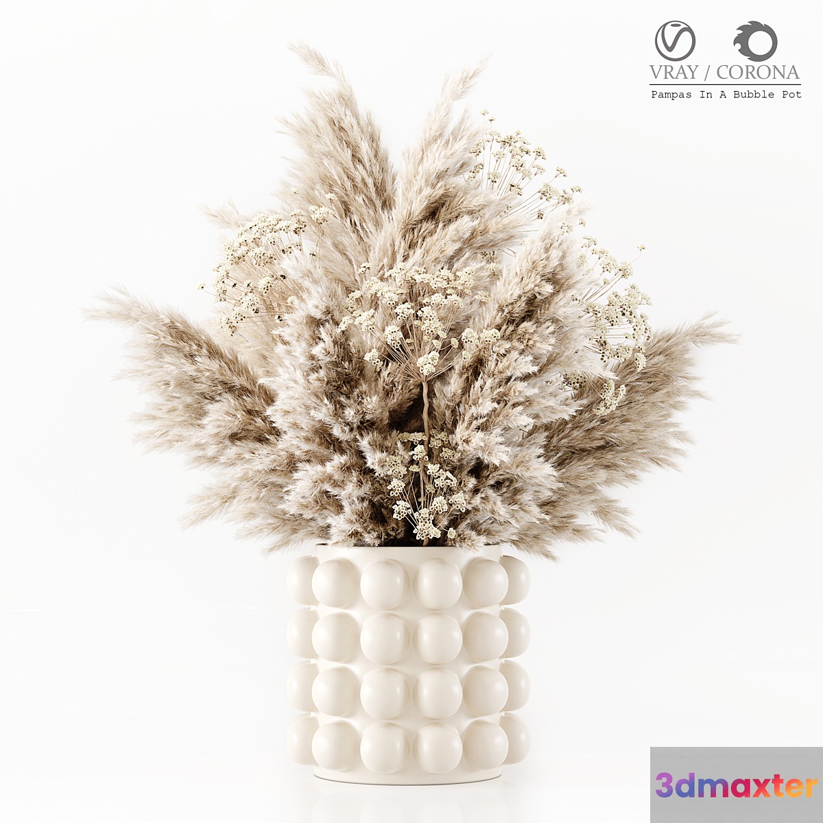 Pampas In A Bubble Pot - No.3