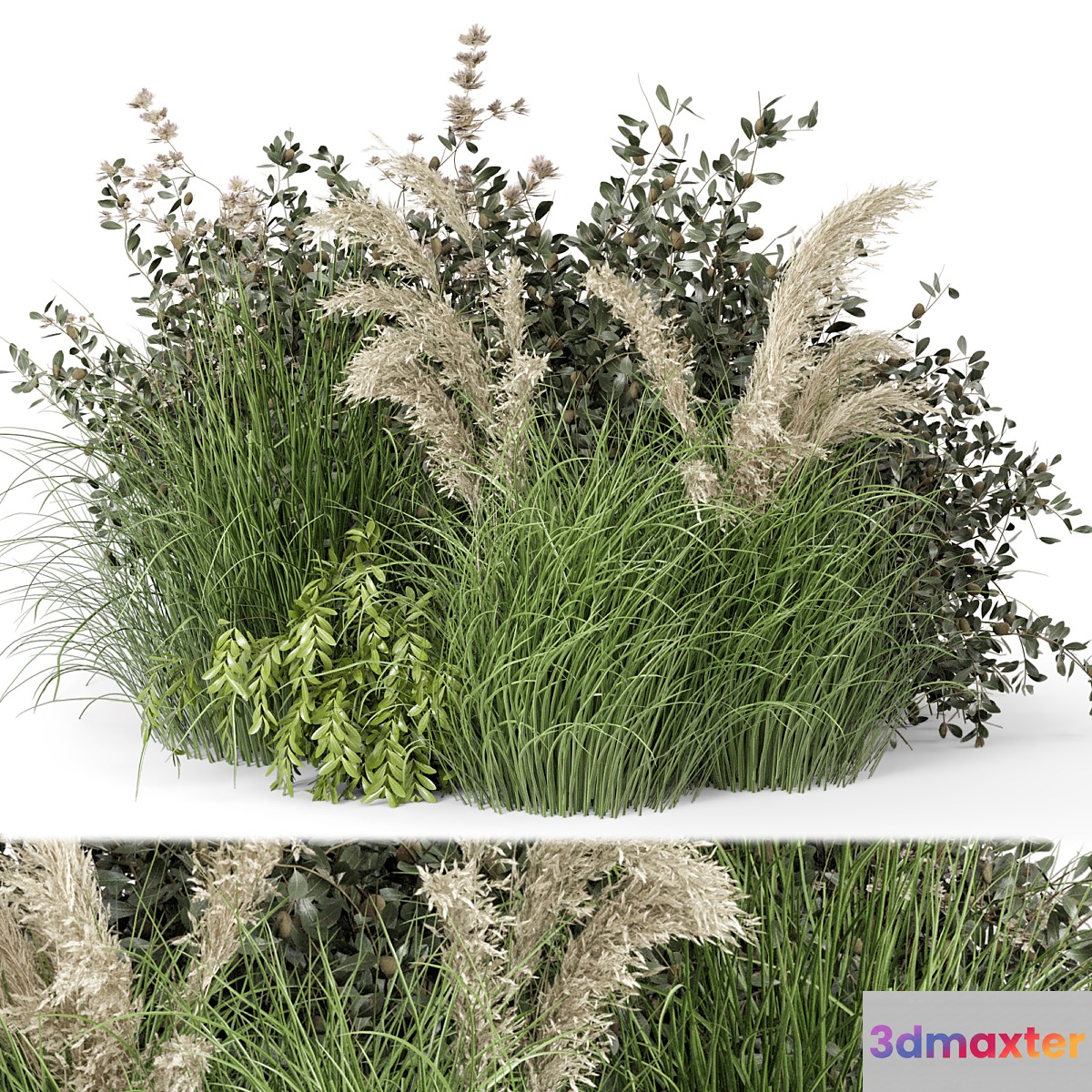 Outdoor Plants Bush-Bush Set 724 - No.2