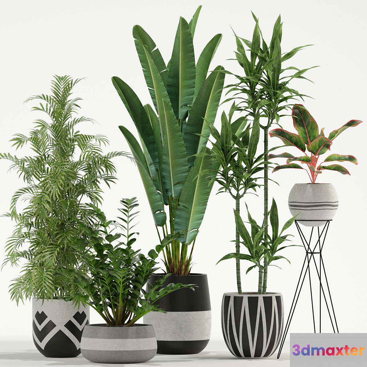 Plants collection 726 3D Max