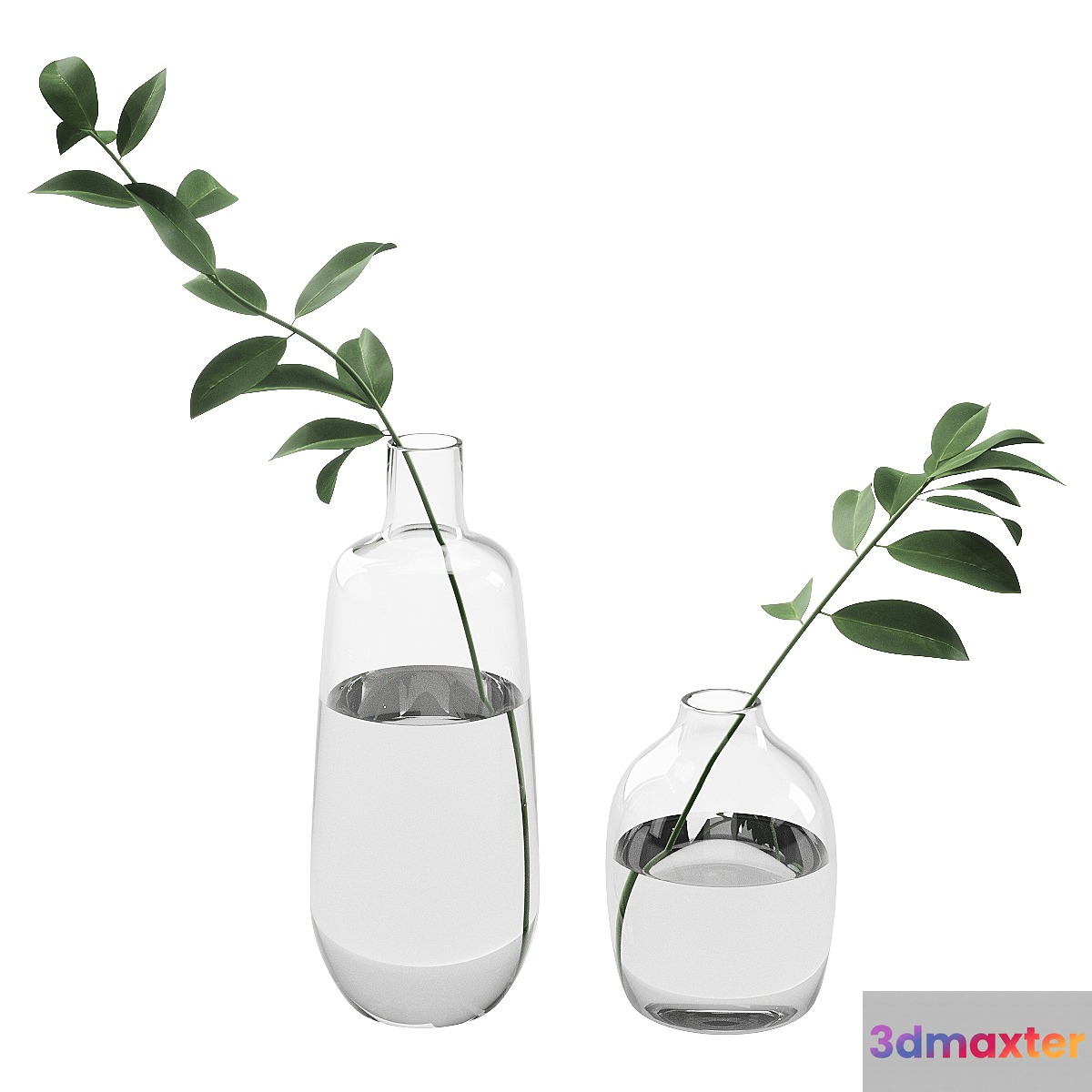 019 Branch in Bottle indoor plant