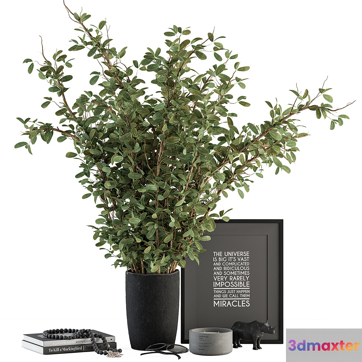 Vase and Plant Decorative Set - Set 119