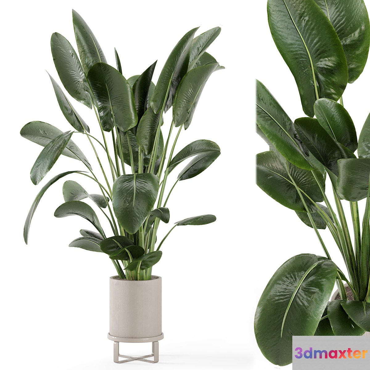 Indoor Plants in Ferm Living Bau Pot Large - Set 765 - No.2