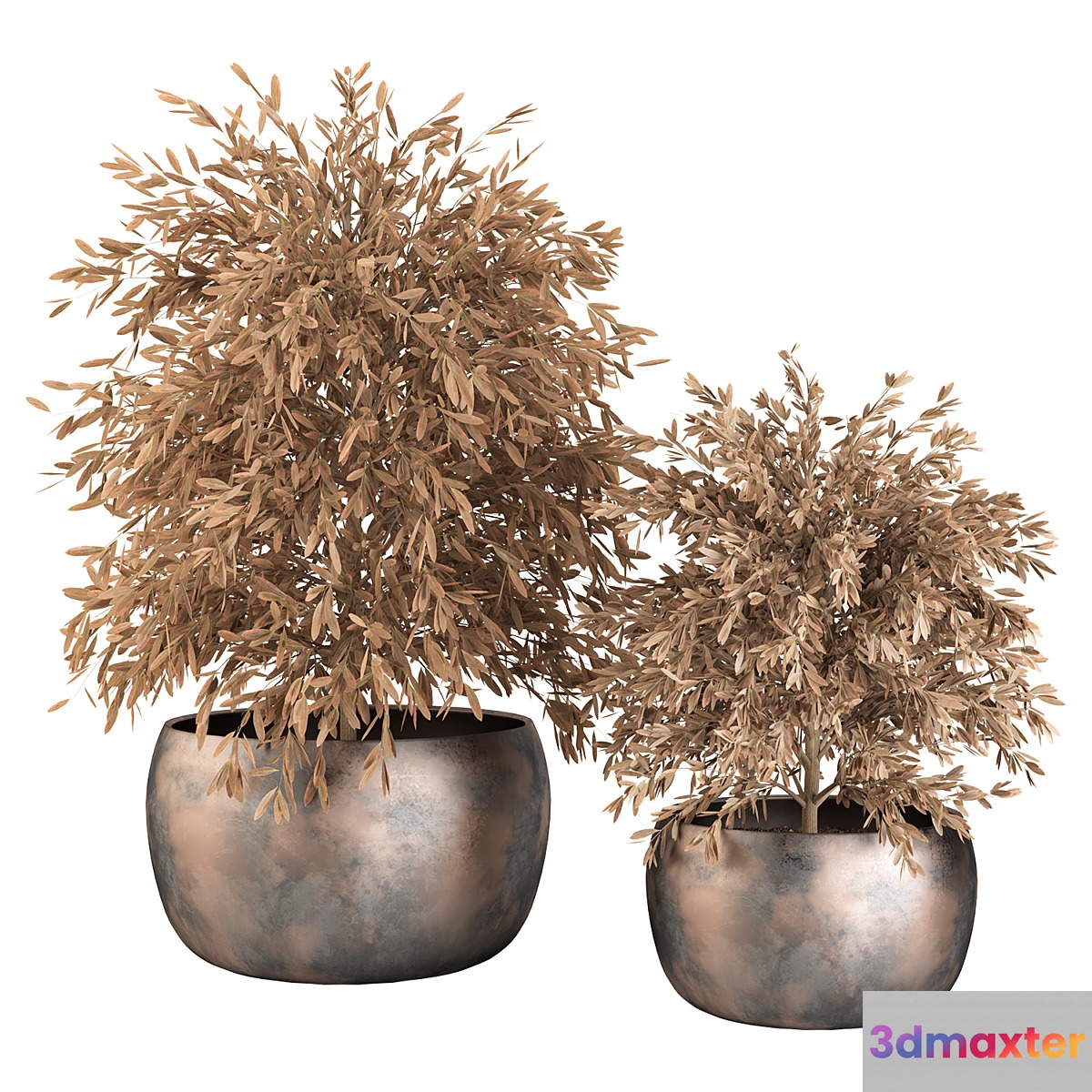 Indoor Plants (Dried) Set No.9