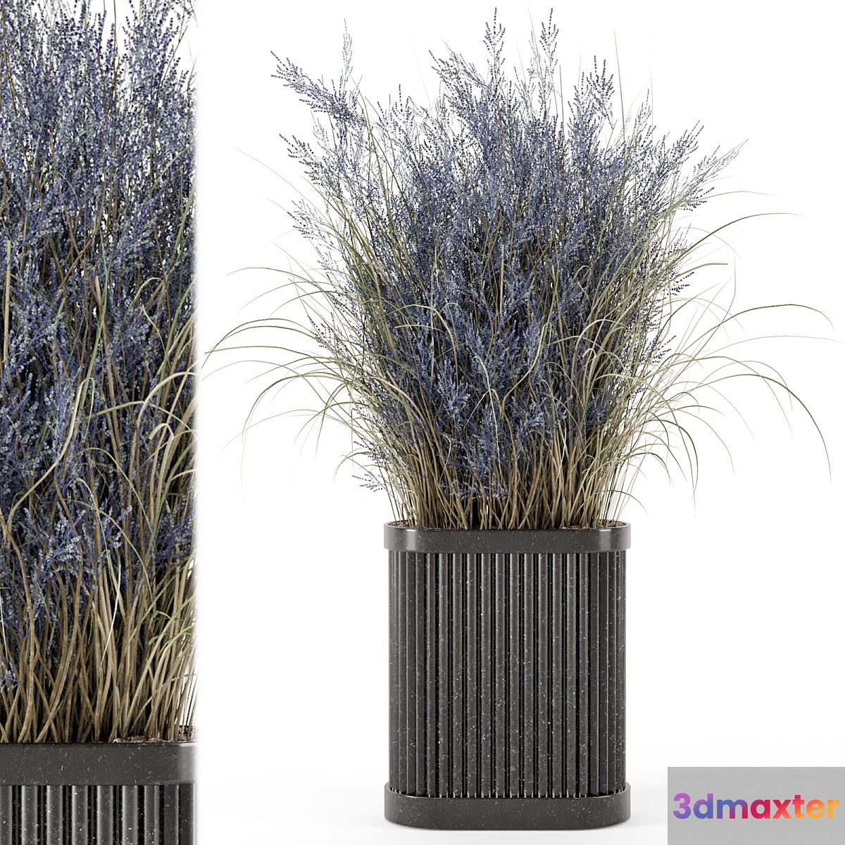 Indoor Dry Plants in Handmade Stone Pot - Set 773
