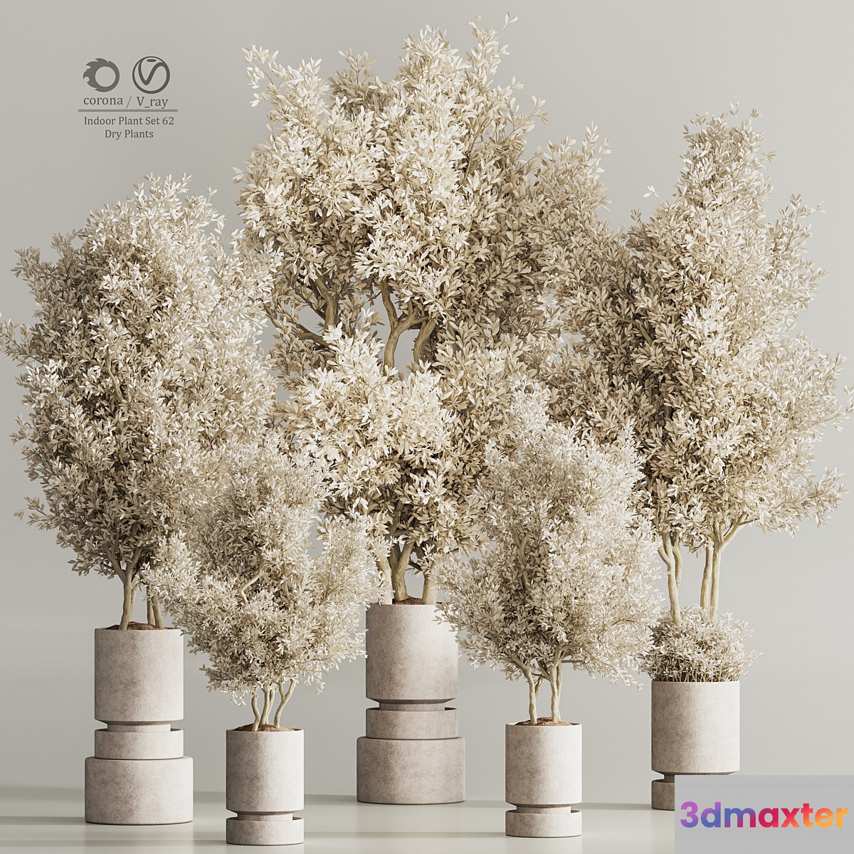 Indoor Plant Set 62 Dry Plants