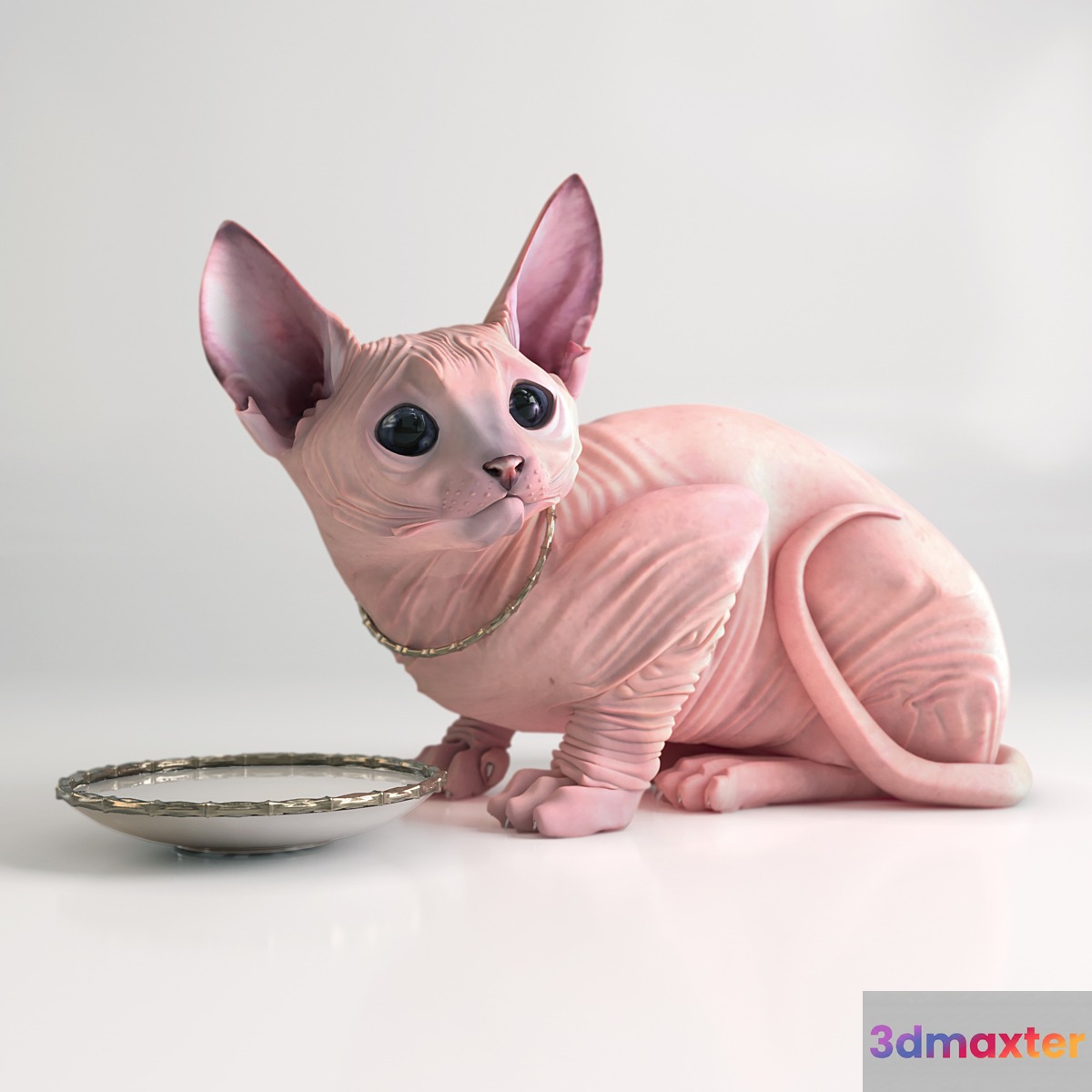 Sphynx cat - No.5