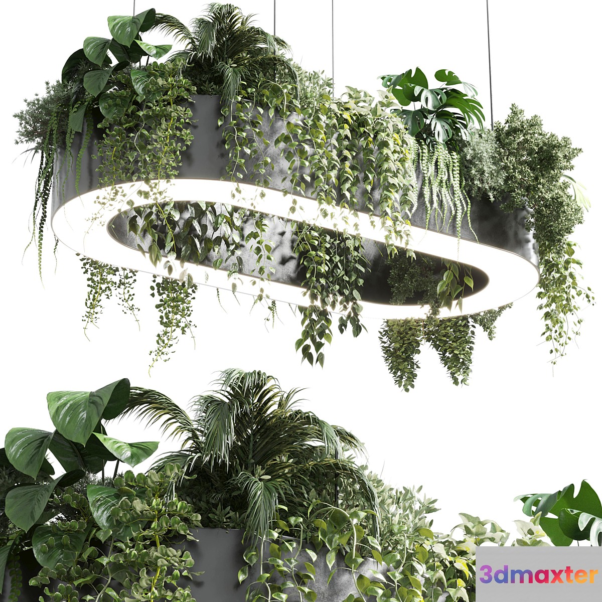 pot light - pendant plant light hanging 06 corona