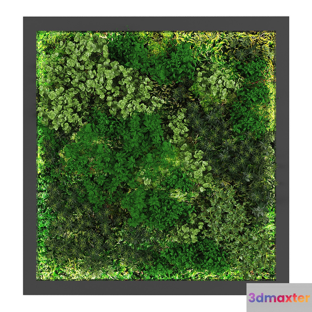 vertical garden178 - No.2