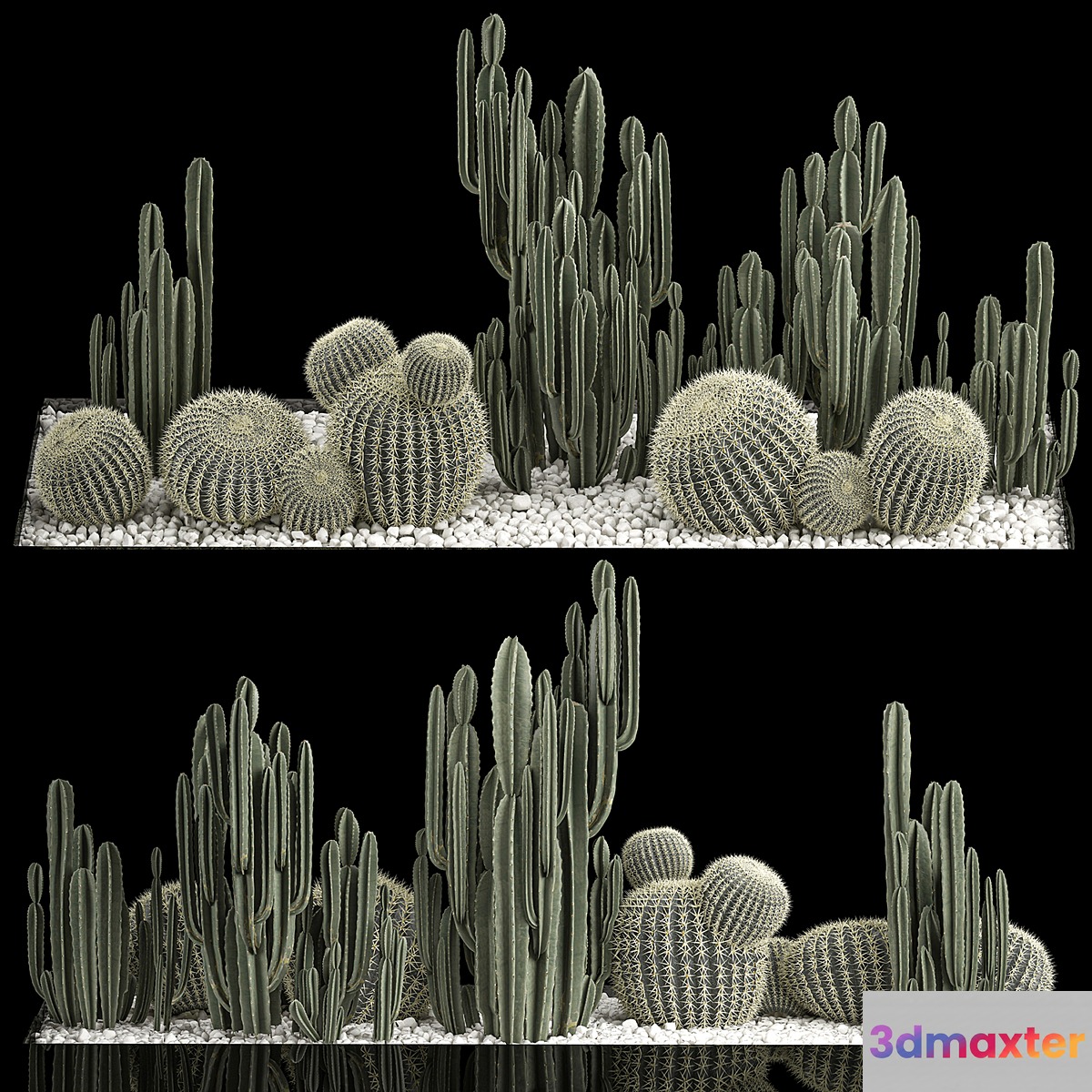 Collection of desert plants with cactus garden Cereus barrel cactus. 1115. 3D Max
