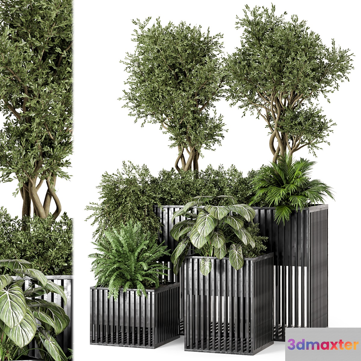 Outdoor Plants in Metal Pots - Set 802 3D Max