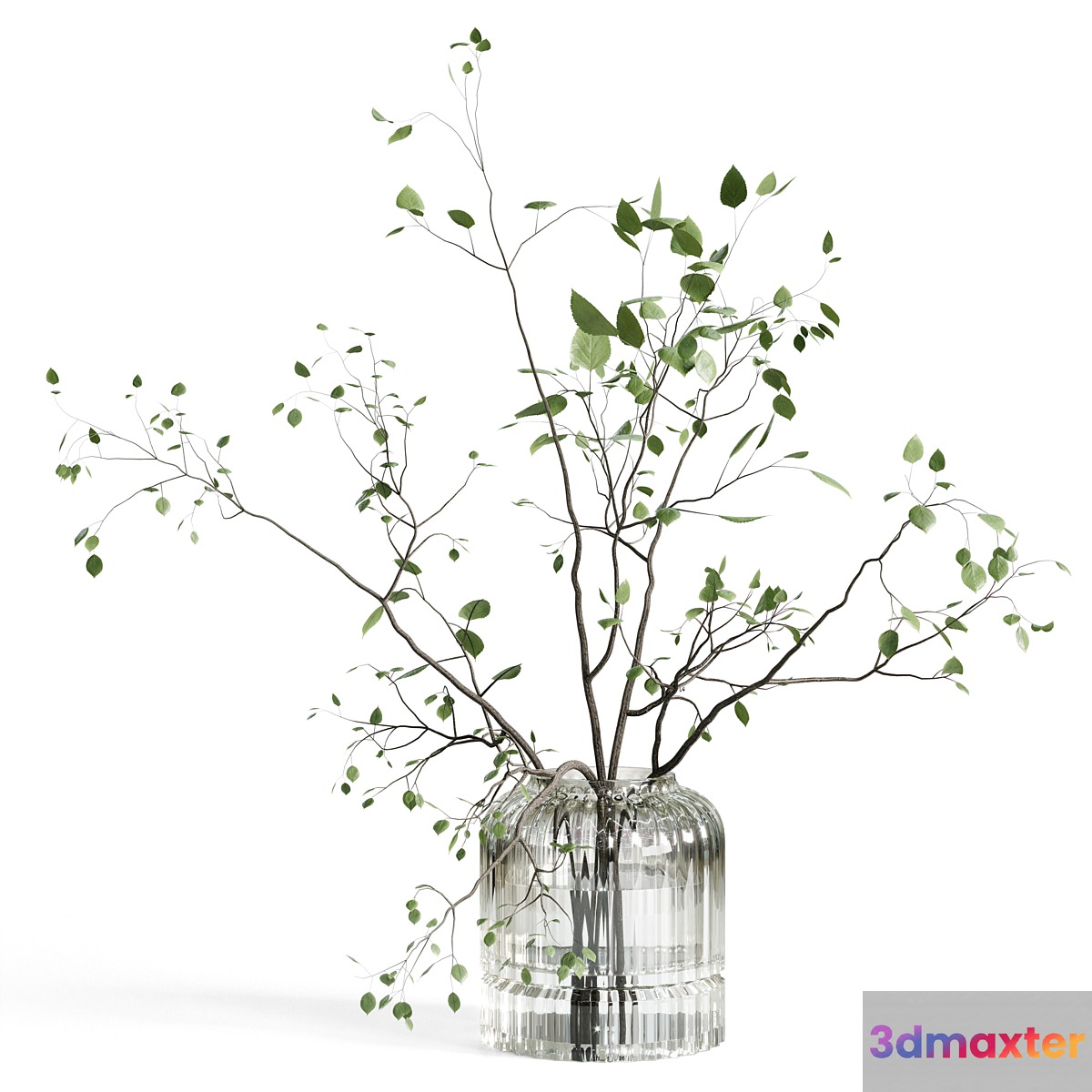Branches plant with galss vase white - bouquet 22
