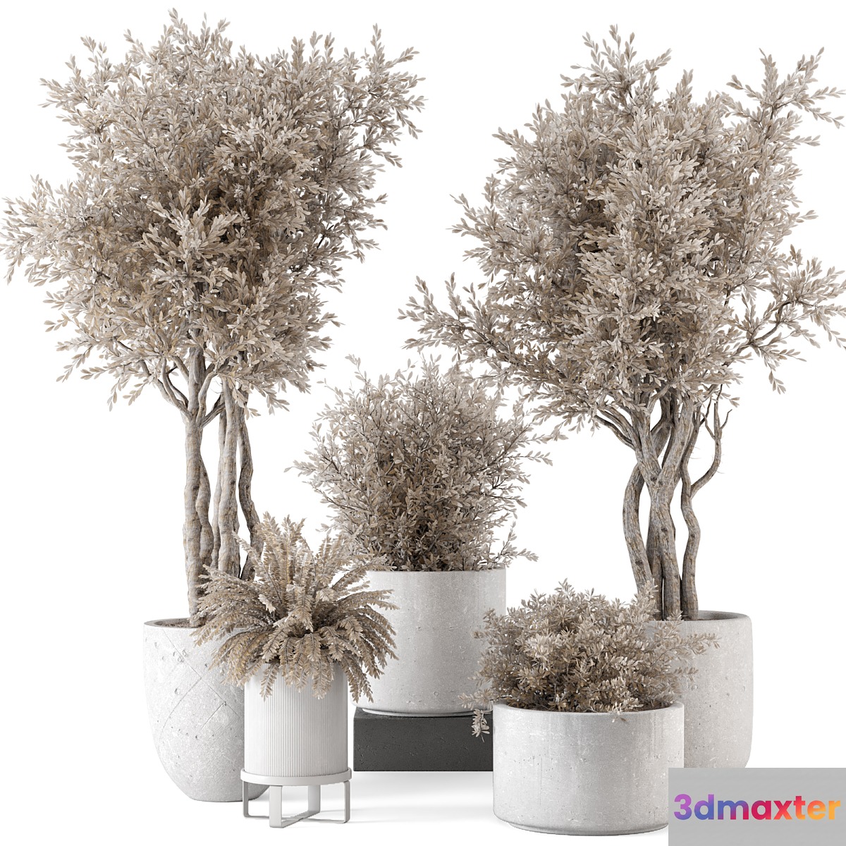 Indoor Plants in rusty Concrete Pot - Set 809 3D Max