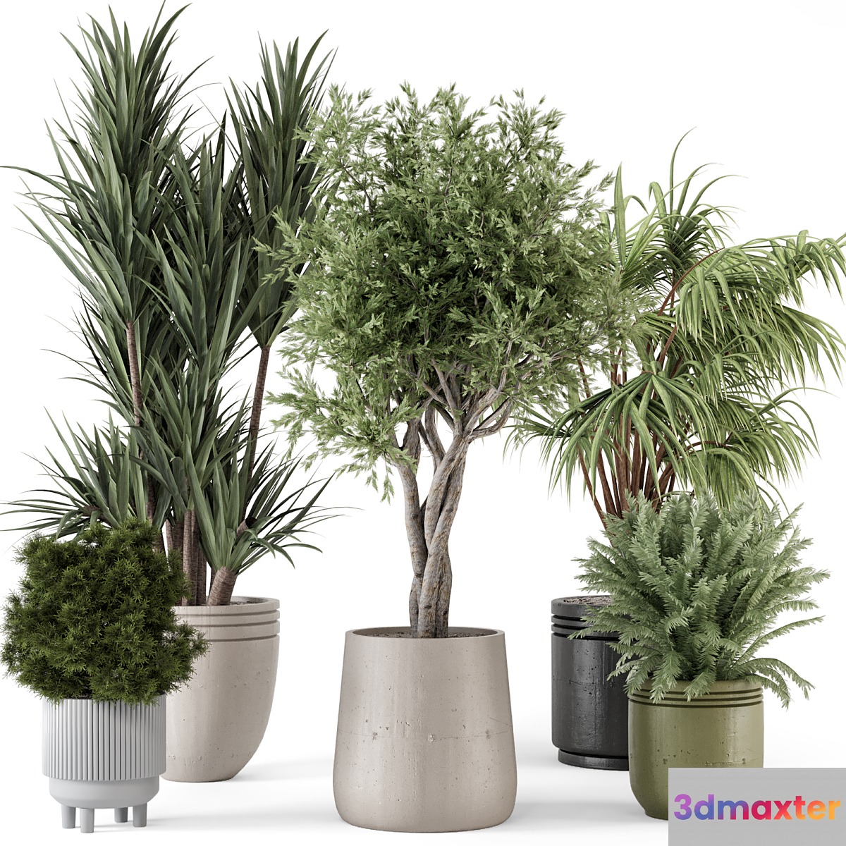 Indoor Plants in Ferm Living Bau Pot Large - Set 817 - No.2