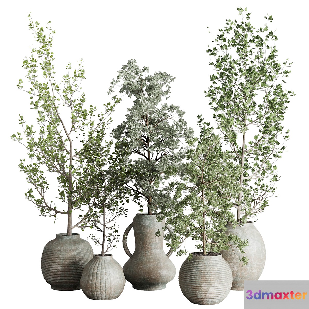 Collection indoor plant 240 pot Tree Bush Concrete Dirty Vase