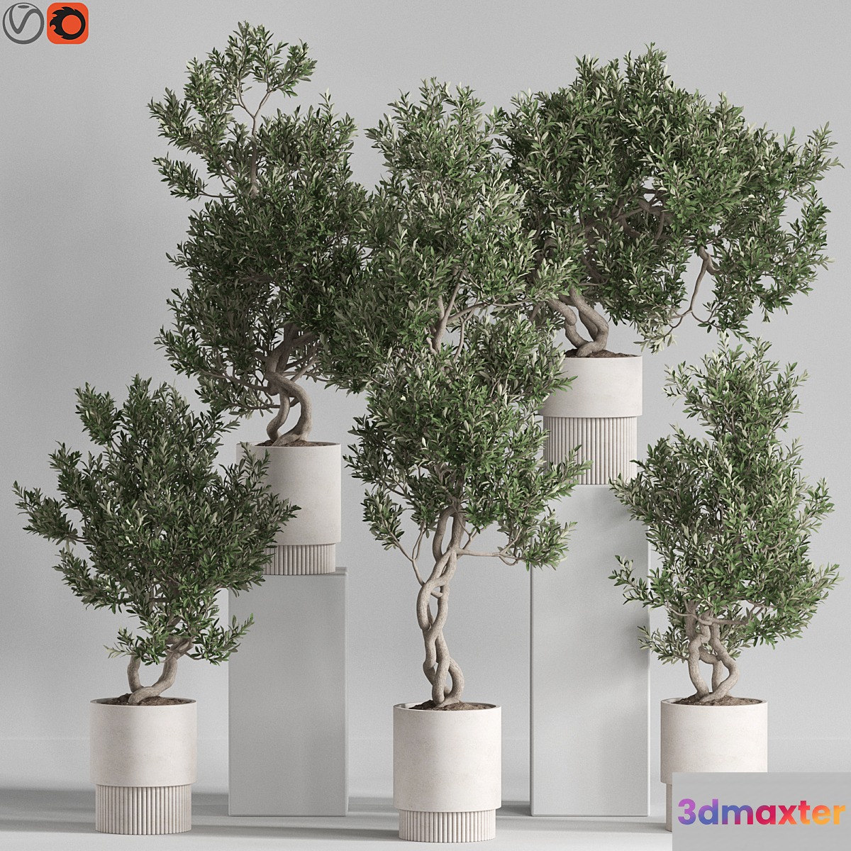 Plants collection 735