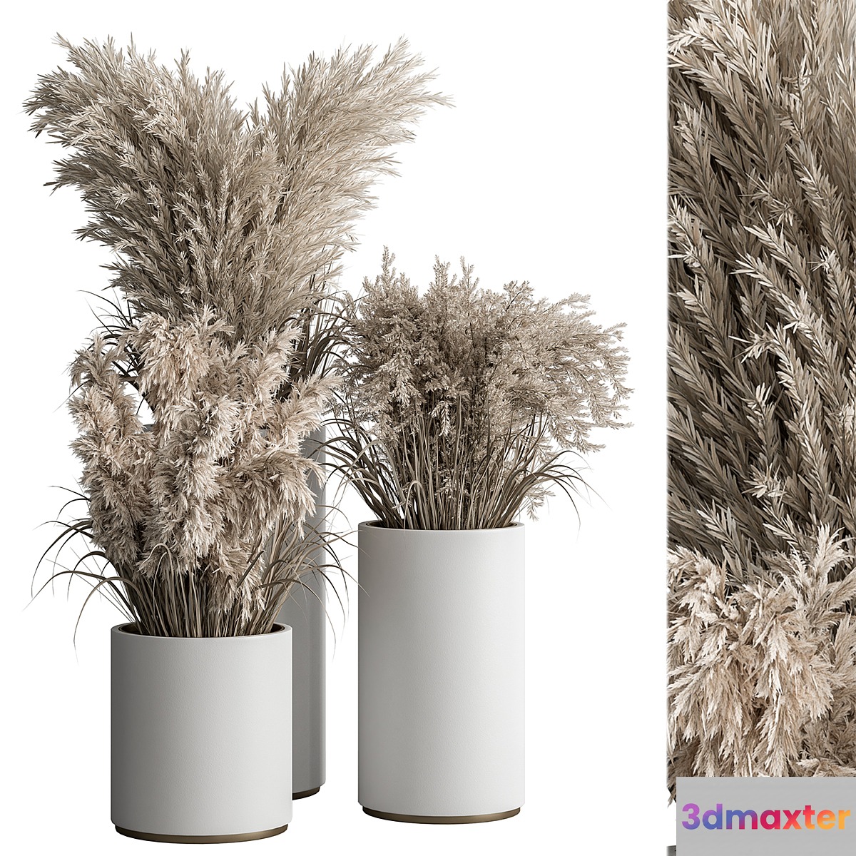 indoor Plant Set 406 - Dried Plant Set in Pot