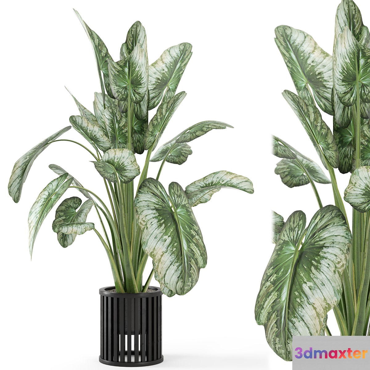 Indoor Plants in Metal Pot - Set 842 - No.2