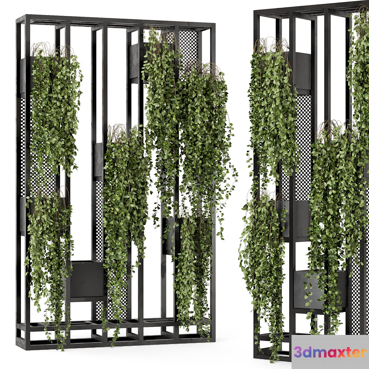 Indoor Hanging Plants in Metal Stand - Set 848