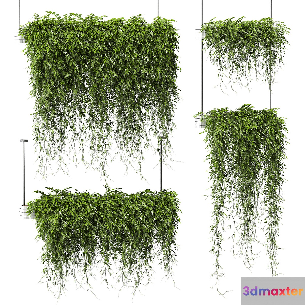 Plants in hanging pots v3. 4 models
