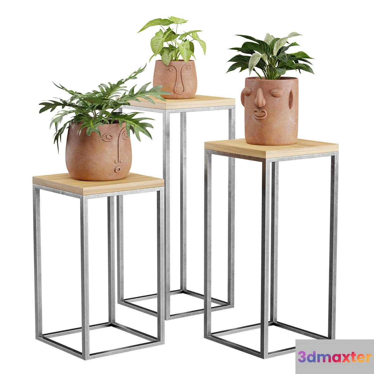Facepot Terracota Plant Set
