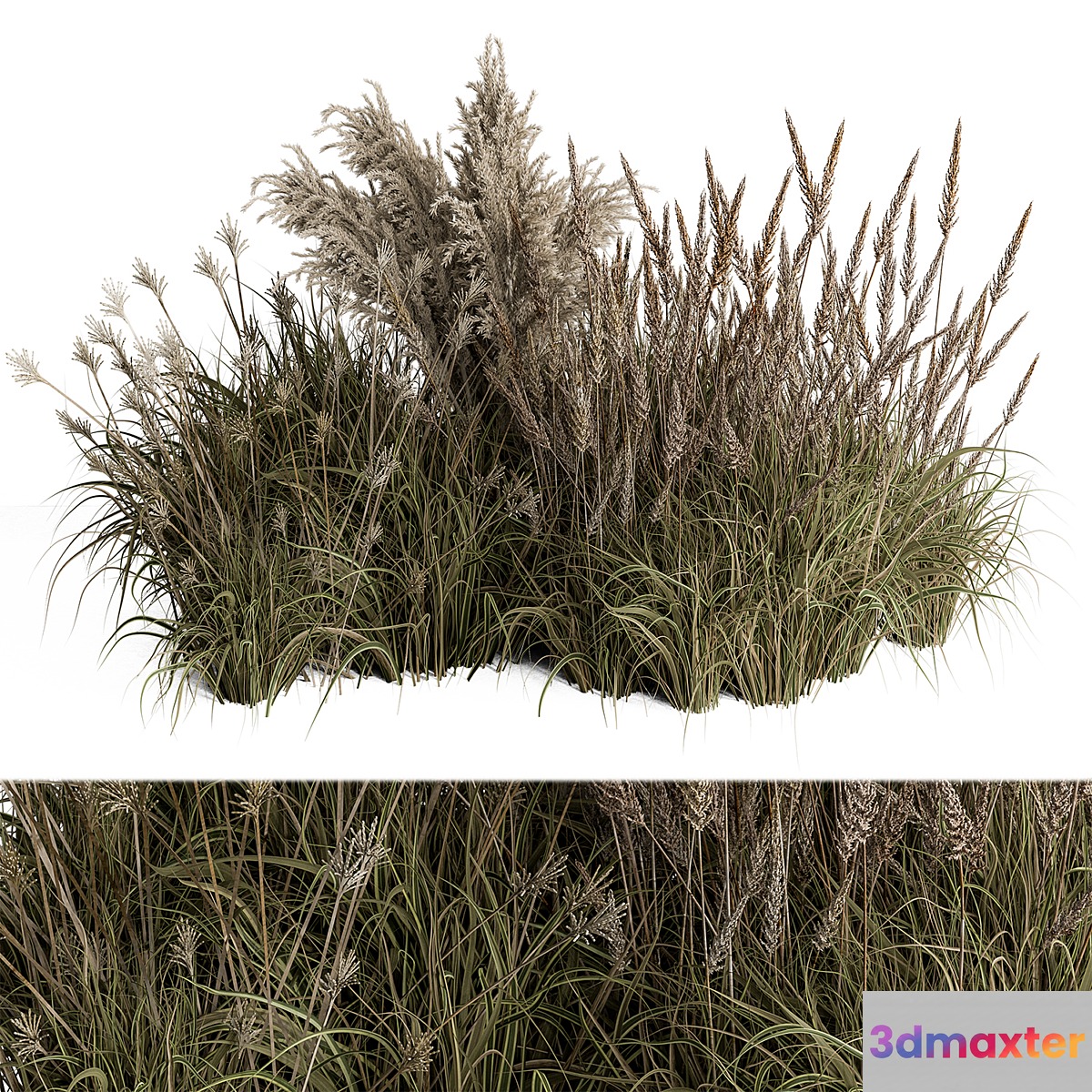 Pampas Plant Bush Set 96 - No.2