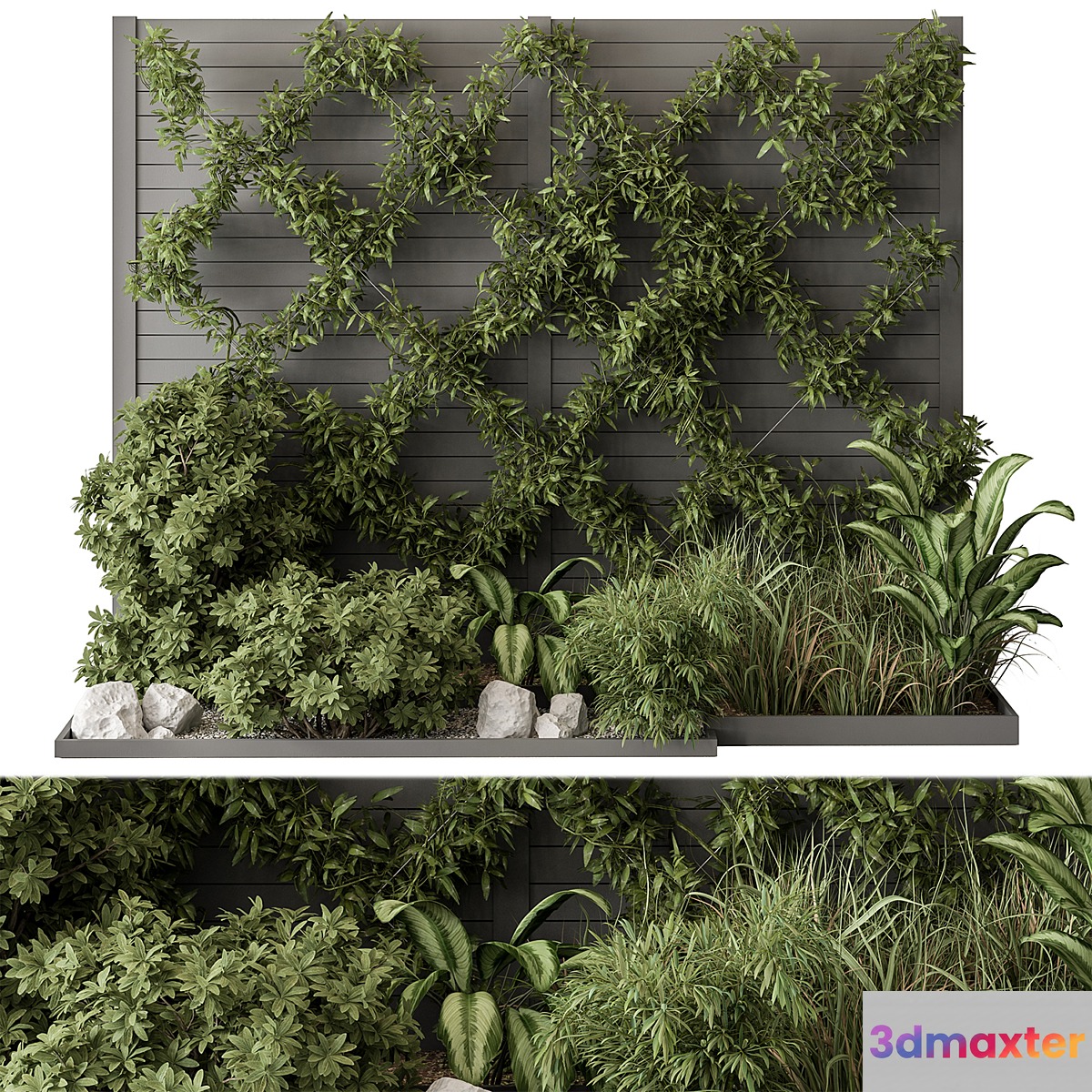 Outdoor Plant Set 429- Ivy on Wall - No.2