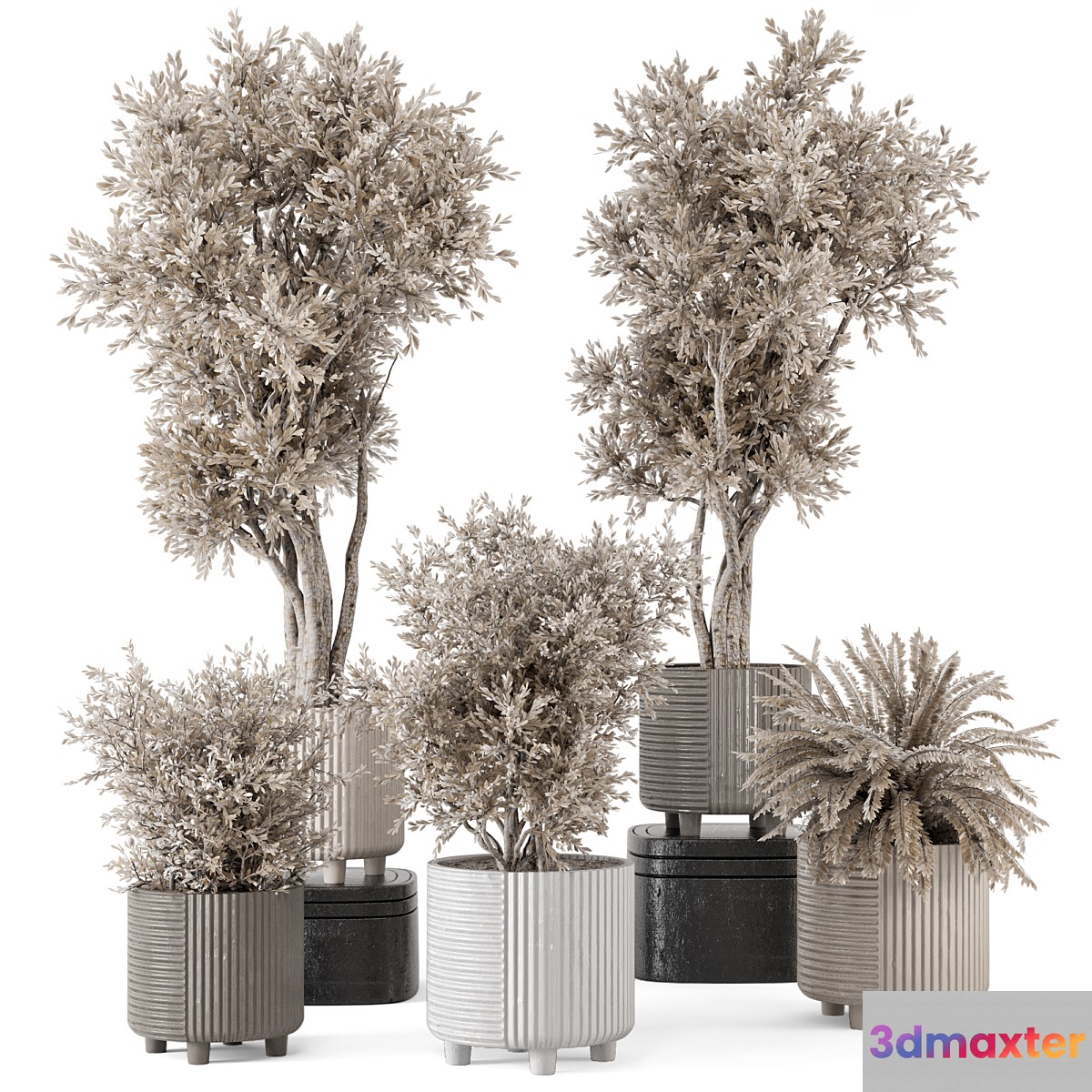 Indoor Plants in rusty Concrete Pot - Set 905