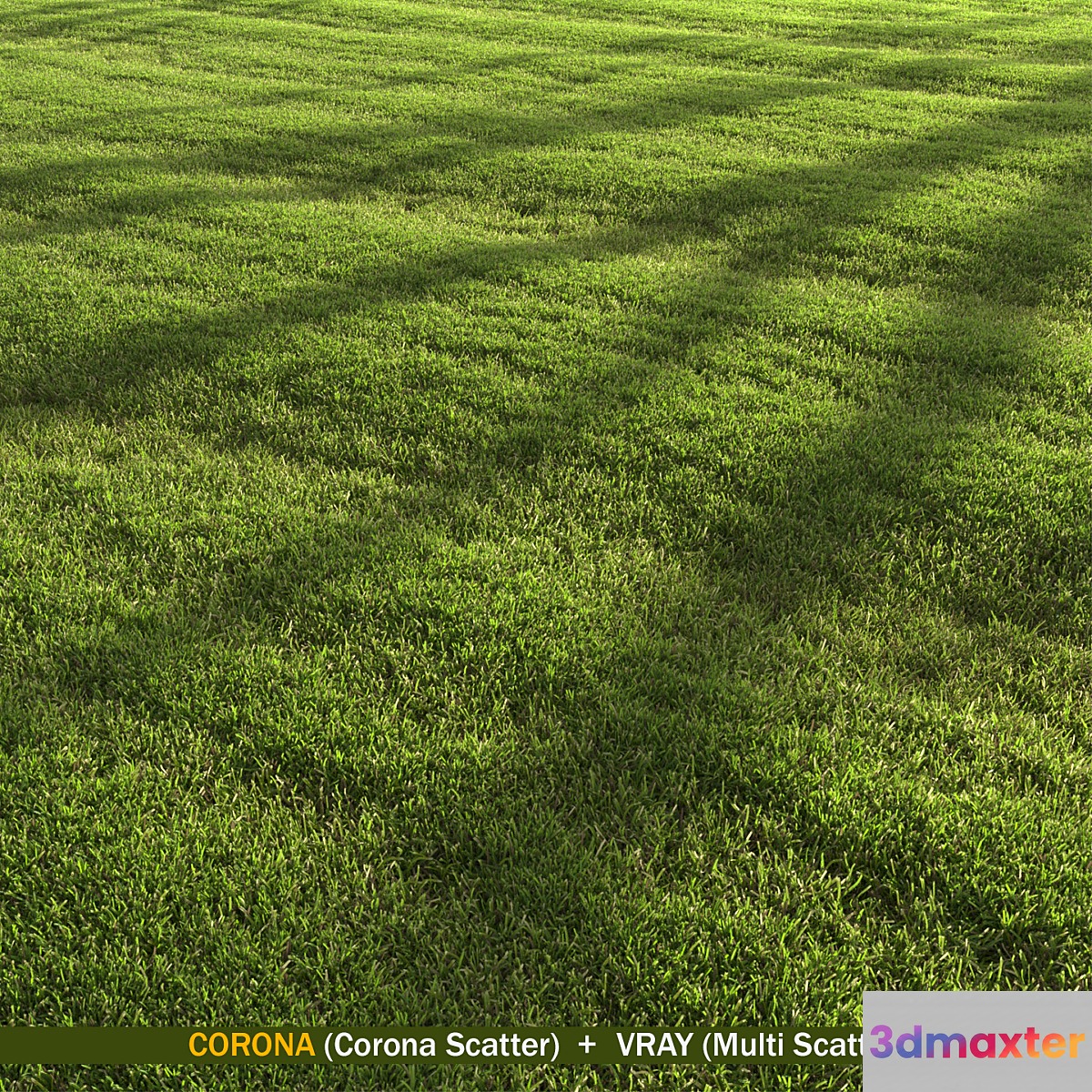 lawn landscape