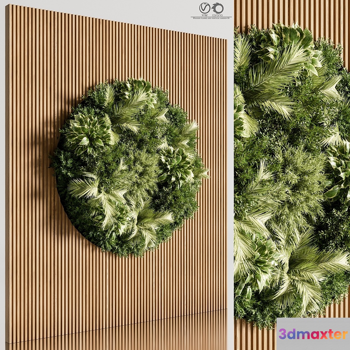 Wooden planks and vertical garden 06