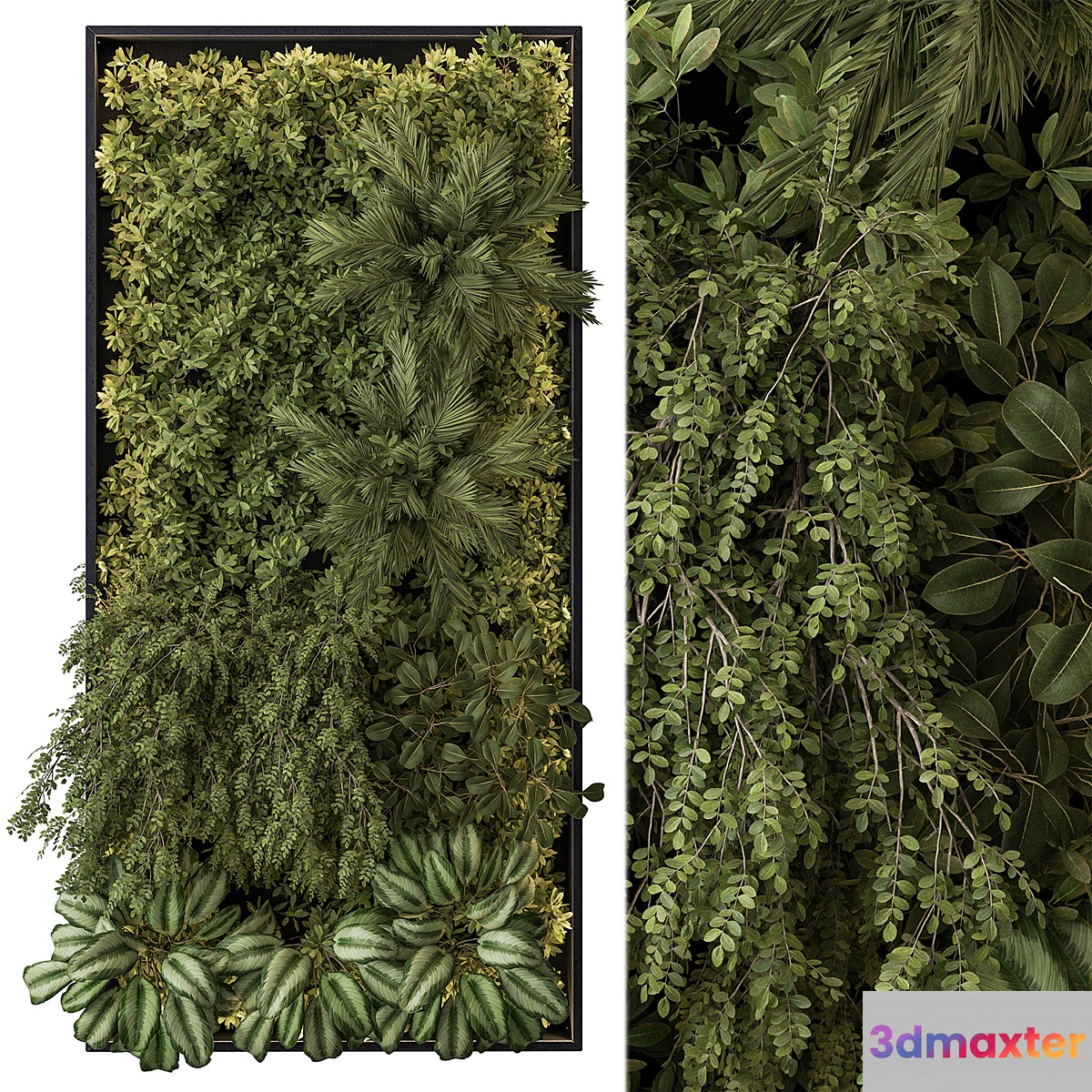 Vertical Garden - Wall Decor 59