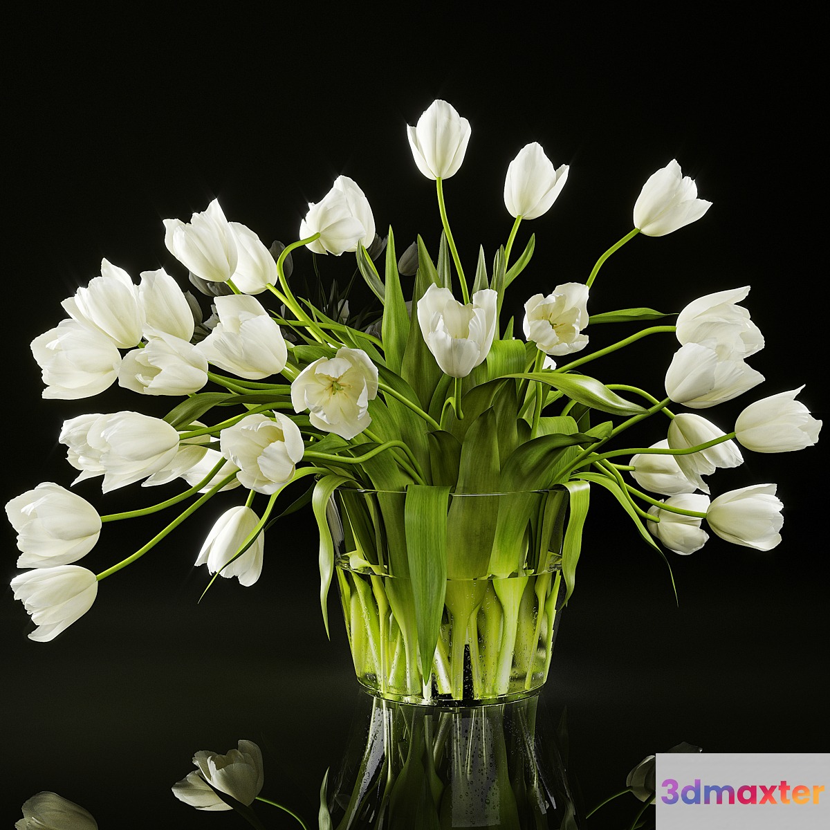 Tulips - No.18