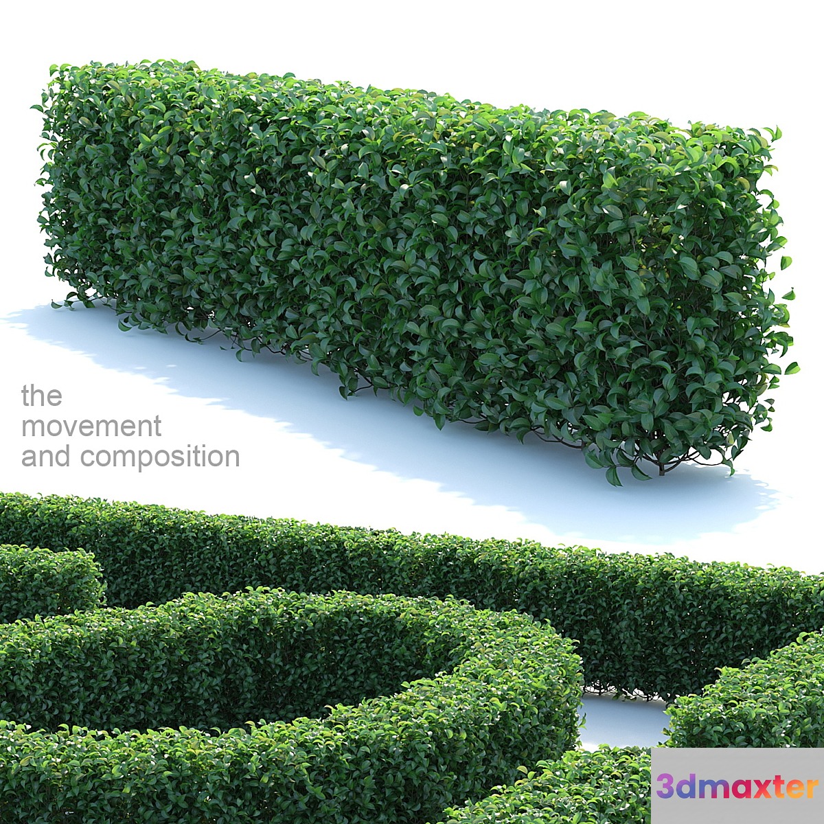 Editable bush ordinary privacy 3D Max