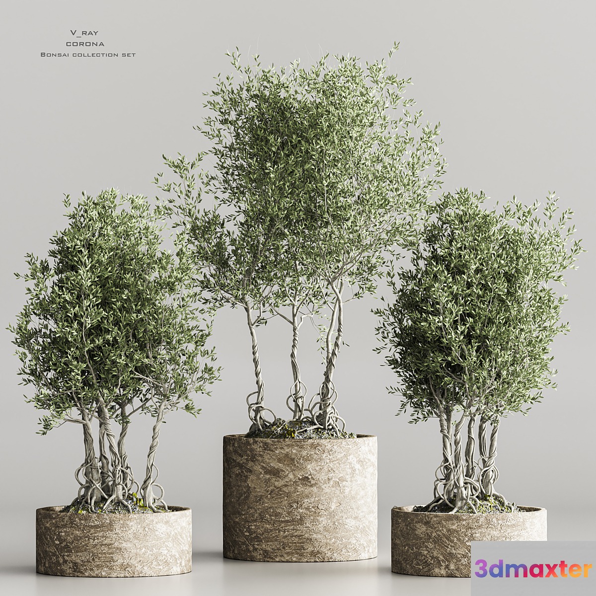 indoor_plant collection set vol 71