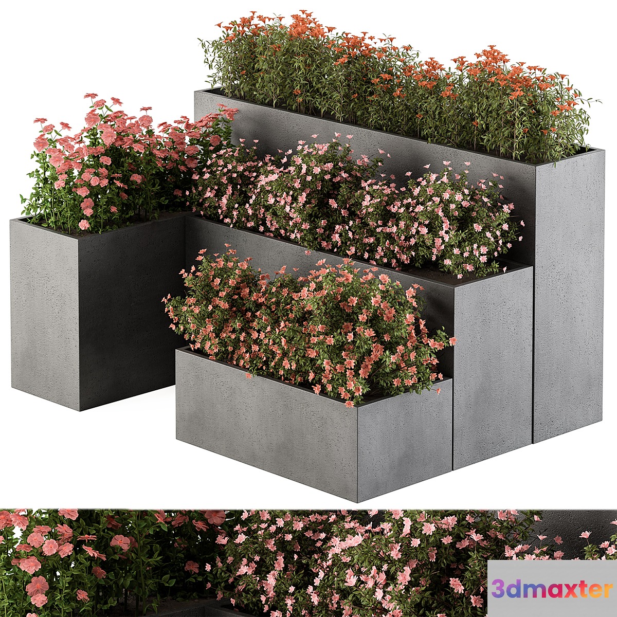 Flower Box - Outdoor Plants 436