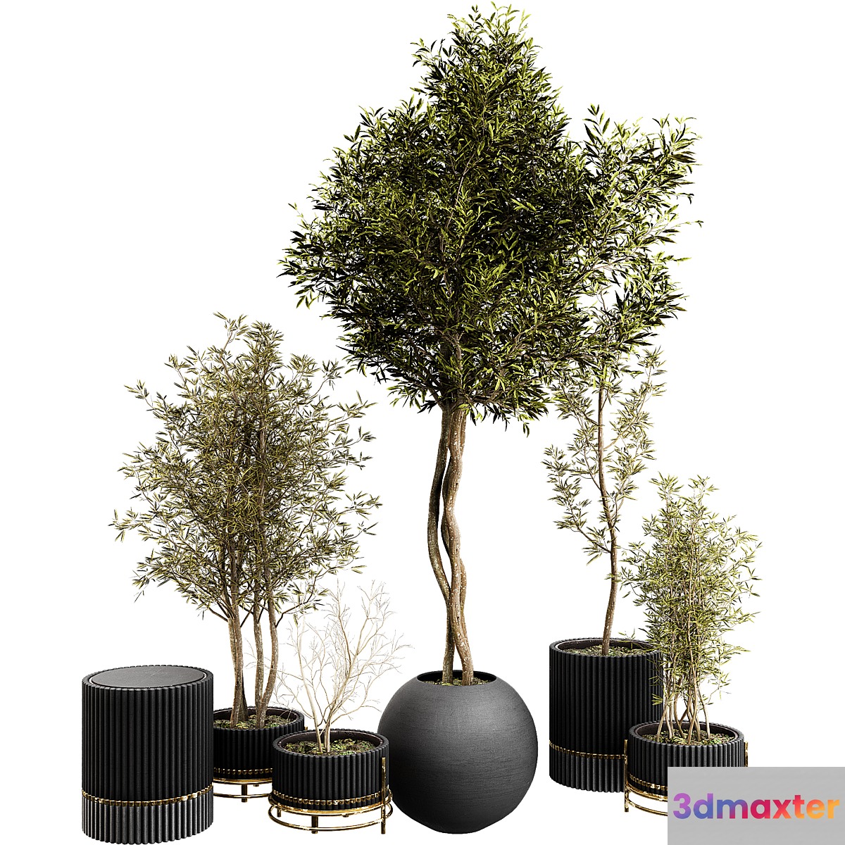 Plant Collection Set 03