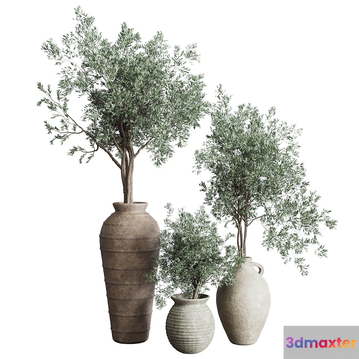 Olive tree in an old earthenware vase indoor collection 278 - No.2