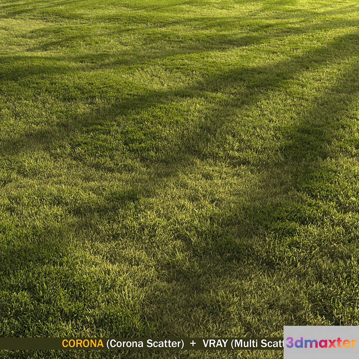 Forest grass - No.2