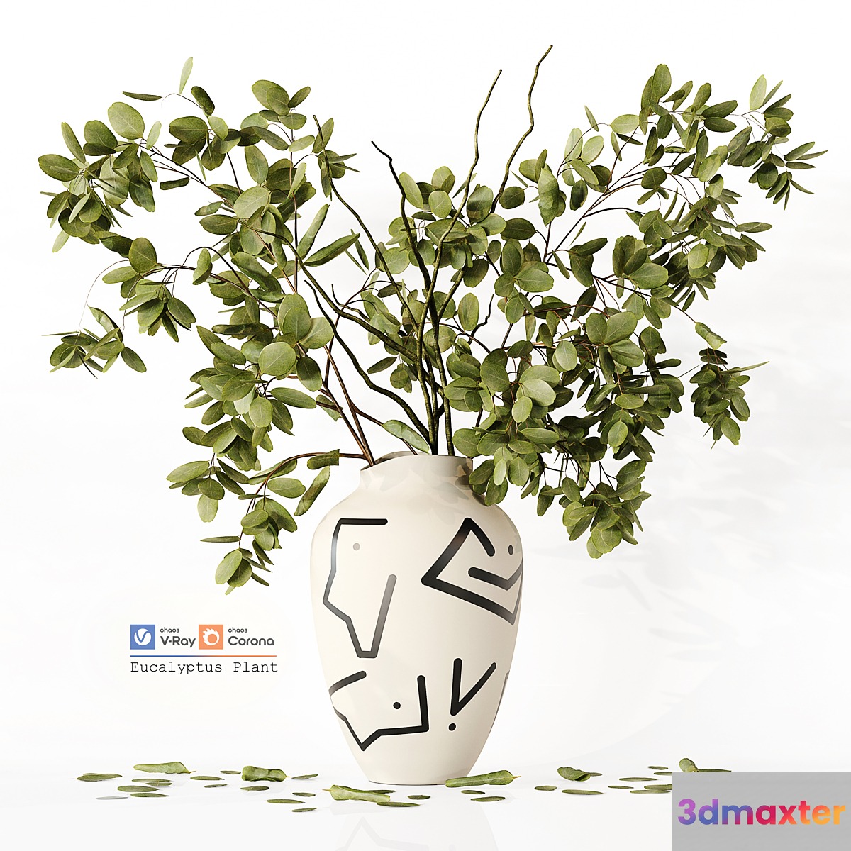 Eucalyptus Plant
