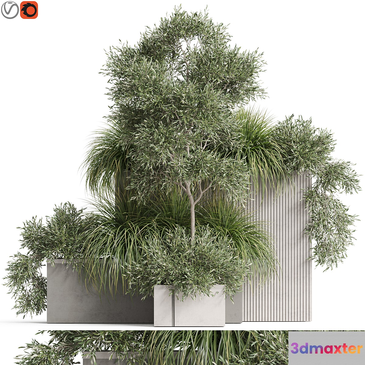 Plants collection 770