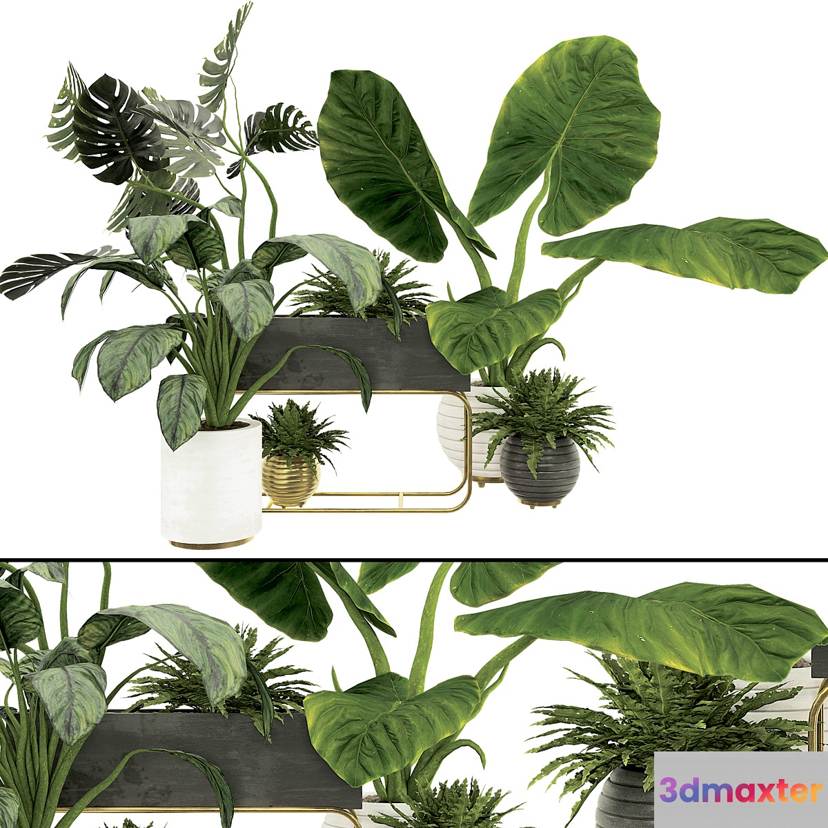 Plant Collection Set 07 3D Max