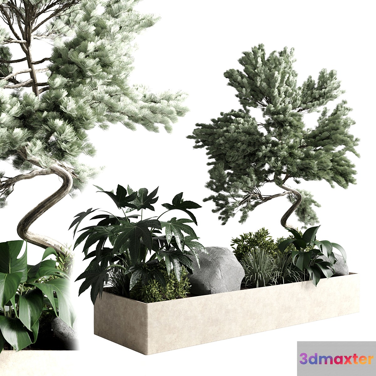 bonsai tree with plants set in the garden 290 corona