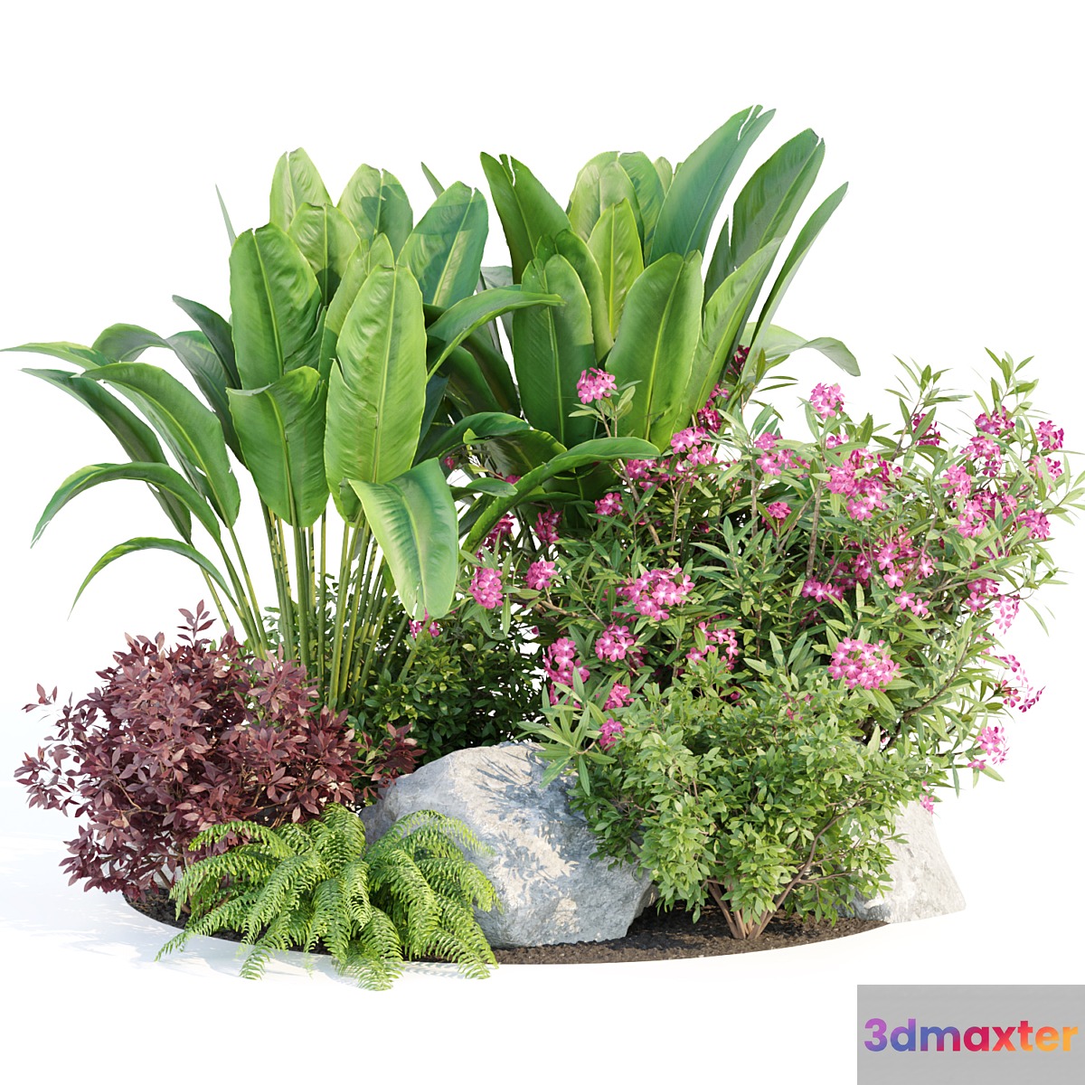 Outdoor Garden Plants Collection vol 136