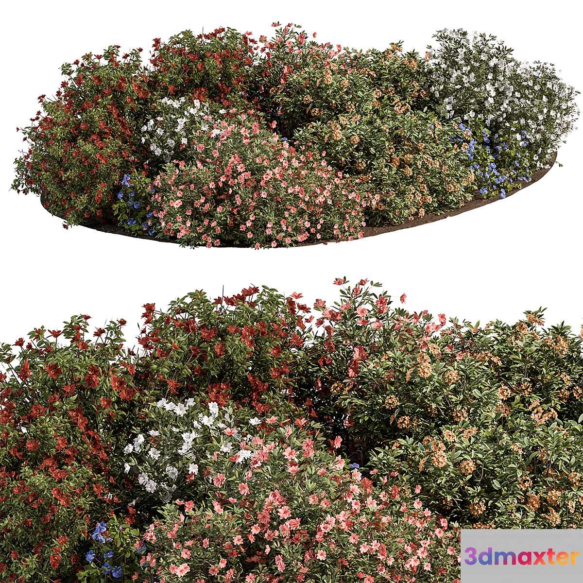 Garden colorful Flower Bush - Set 452 - No.2